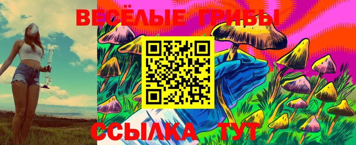 Галлюциногенные грибы ЛСД Королёв